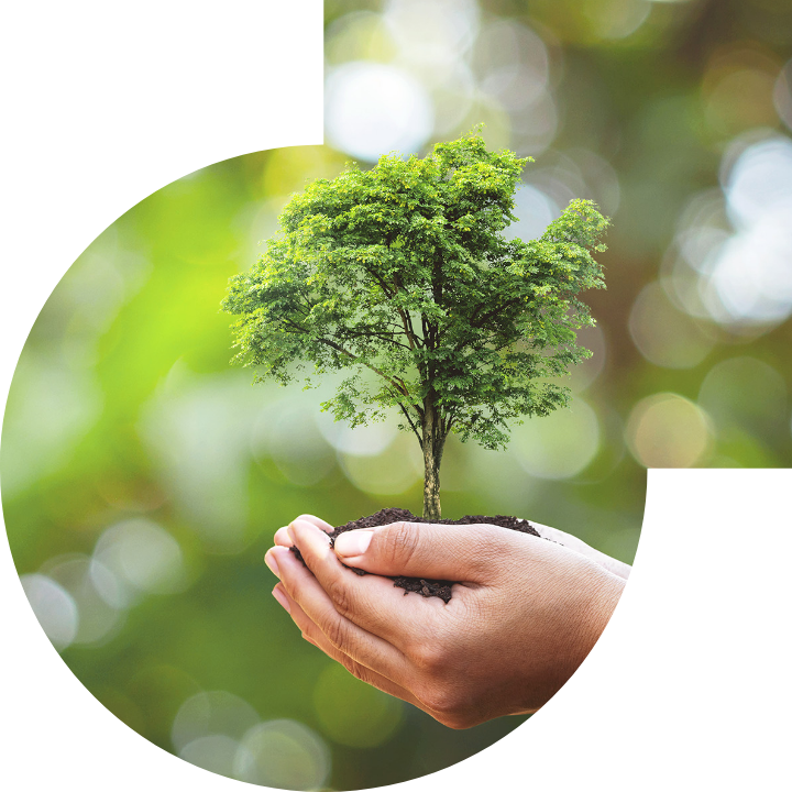 关怀人类、文化、环境与社会